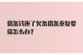 灯塔灯塔的要账公司在催收过程中的策略和技巧有哪些？